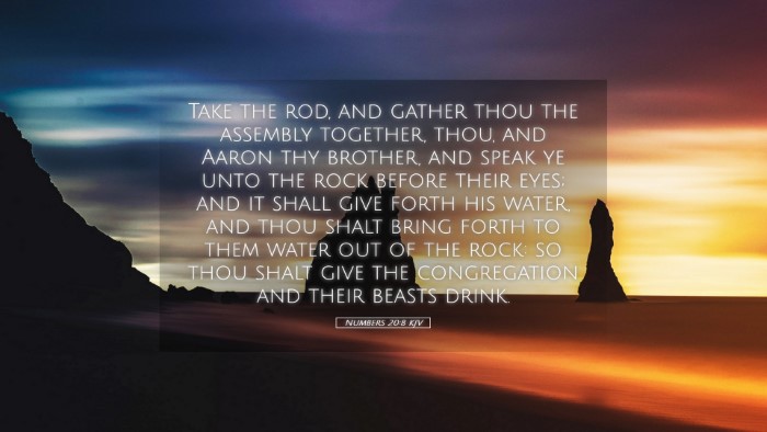 Picture 05 - Numbers 20:8 KJV Desktop Wallpaper - Take the rod, and gather thou the assembly - Desktop Bible Verse Wallpaper