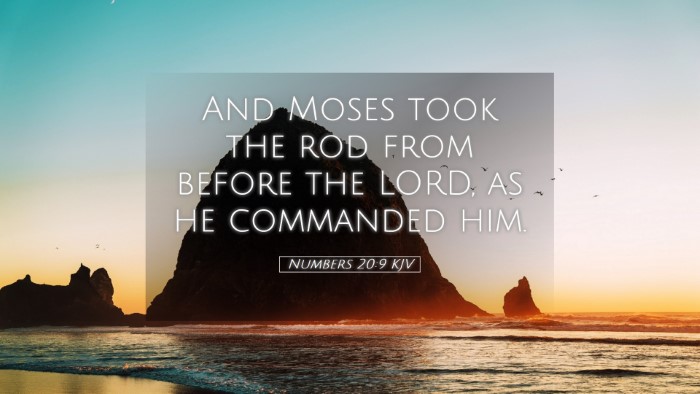 Picture 05 - Numbers 20:9 KJV Desktop Wallpaper - And Moses took the rod from before the LORD, as - Desktop Bible Verse Wallpaper