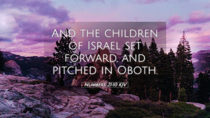 Picture 05 - Numbers 21:10 KJV Desktop Wallpaper - And the children of Israel set forward, and - Desktop Bible Verse Wallpaper