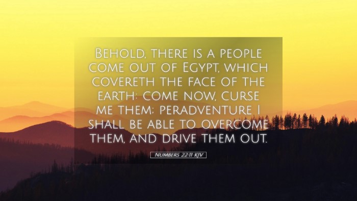 Picture 05 - Numbers 22:11 KJV Desktop Wallpaper - Behold, there is a people come out of Egypt, - Desktop Bible Verse Wallpaper