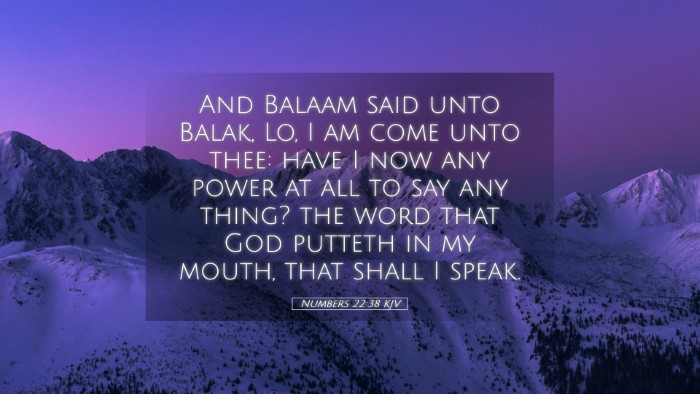 Picture 05 - Numbers 22:38 KJV Desktop Wallpaper - And Balaam said unto Balak, Lo, I am come unto - Desktop Bible Verse Wallpaper