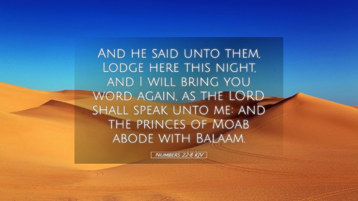 Picture 05 - Numbers 22:8 KJV Desktop Wallpaper - And he said unto them, Lodge here this night, and - Desktop Bible Verse Wallpaper