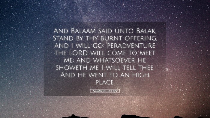 Picture 05 - Numbers 23:3 KJV Desktop Wallpaper - And Balaam said unto Balak, Stand by thy burnt - Desktop Bible Verse Wallpaper