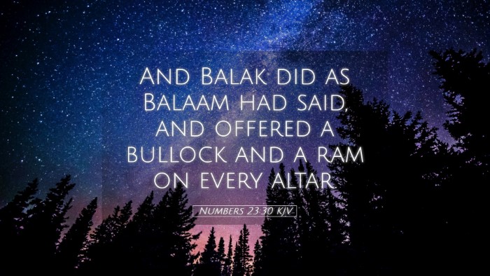 Picture 05 - Numbers 23:30 KJV Desktop Wallpaper - And Balak did as Balaam had said, and offered a - Desktop Bible Verse Wallpaper