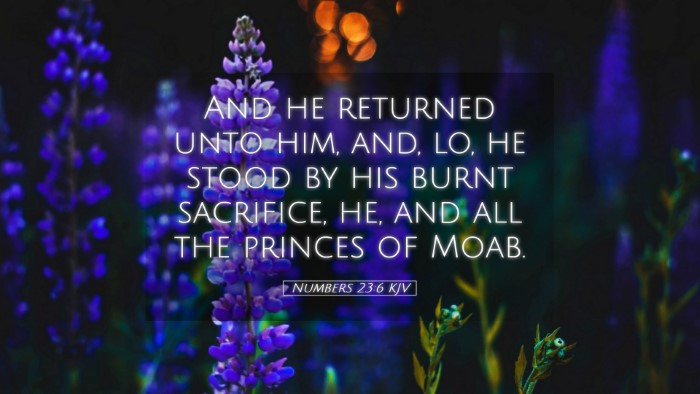 Picture 05 - Numbers 23:6 KJV Desktop Wallpaper - And he returned unto him, and, lo, he stood by - Desktop Bible Verse Wallpaper