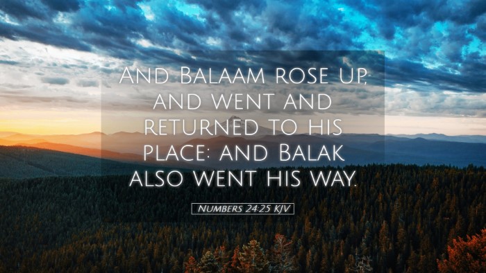 Picture 05 - Numbers 24:25 KJV Desktop Wallpaper - And Balaam rose up, and went and returned to his - Desktop Bible Verse Wallpaper