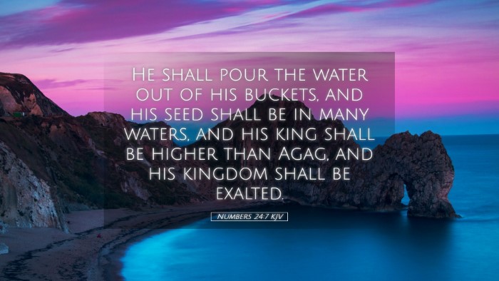 Picture 05 - Numbers 24:7 KJV Desktop Wallpaper - He shall pour the water out of his buckets, and - Desktop Bible Verse Wallpaper