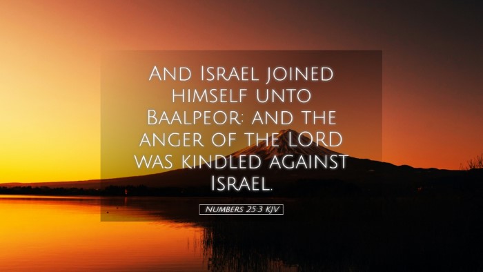 Picture 05 - Numbers 25:3 KJV Desktop Wallpaper - And Israel joined himself unto Baalpeor: and the - Desktop Bible Verse Wallpaper