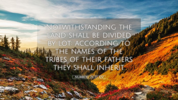 Picture 05 - Numbers 26:55 KJV Desktop Wallpaper - Notwithstanding the land shall be divided by lot: - Desktop Bible Verse Wallpaper