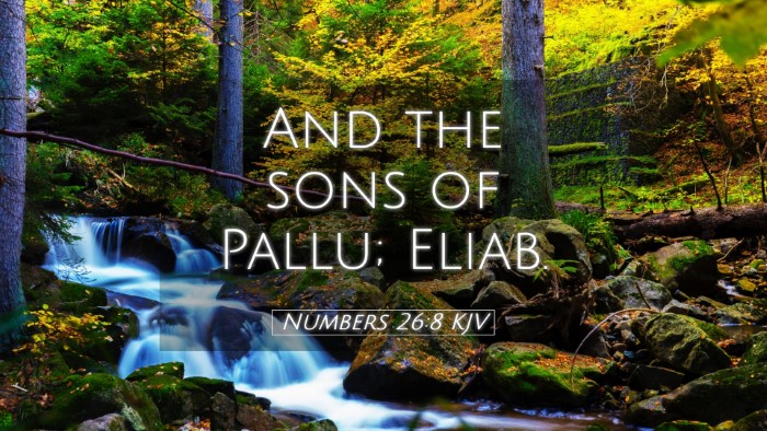 Picture 05 - Numbers 26:8 KJV Desktop Wallpaper - And the sons of Pallu; - Desktop Bible Verse Wallpaper