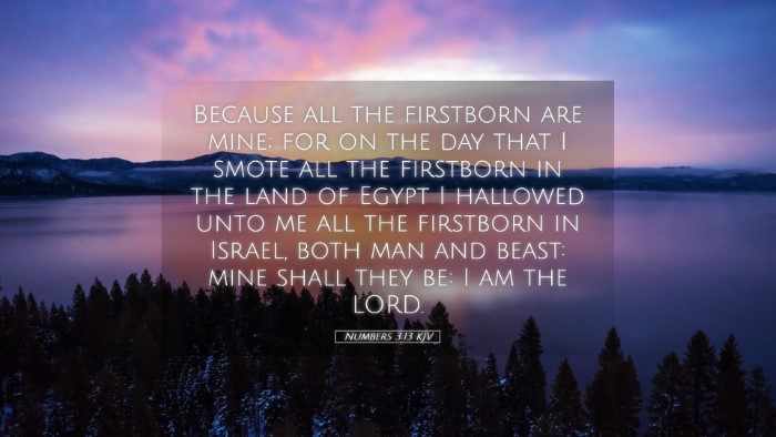Picture 05 - Numbers 3:13 KJV Desktop Wallpaper - Because all the firstborn are mine; for on the - Desktop Bible Verse Wallpaper
