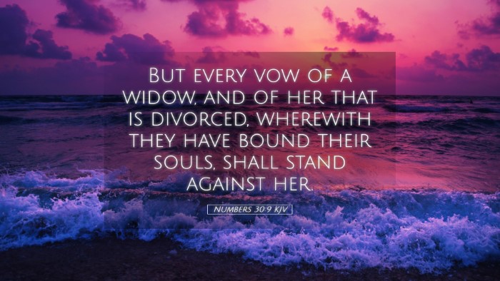 Picture 05 - Numbers 30:9 KJV Desktop Wallpaper - But every vow of a widow, and of her that is - Desktop Bible Verse Wallpaper