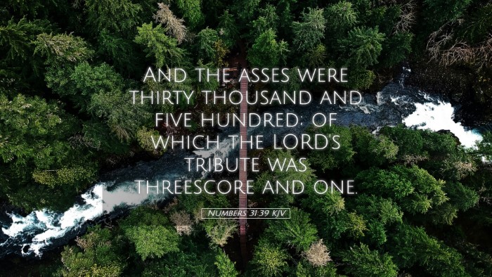 Picture 05 - Numbers 31:39 KJV Desktop Wallpaper - And the asses were thirty thousand and five - Desktop Bible Verse Wallpaper