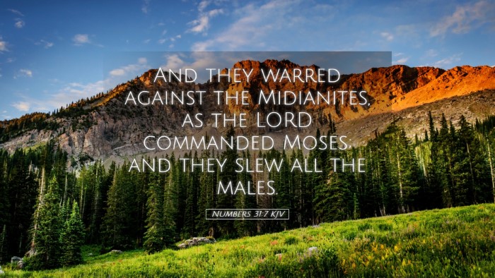 Picture 05 - Numbers 31:7 KJV Desktop Wallpaper - And they warred against the Midianites, as the - Desktop Bible Verse Wallpaper