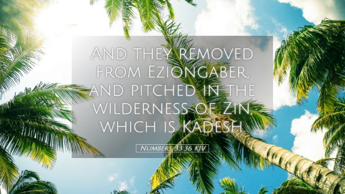 Picture 05 - Numbers 33:36 KJV Desktop Wallpaper - And they removed from Eziongaber, and pitched in - Desktop Bible Verse Wallpaper
