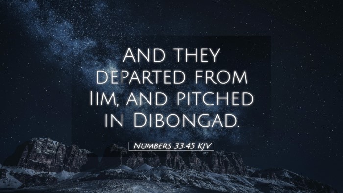Picture 05 - Numbers 33:45 KJV Desktop Wallpaper - And they departed from Iim, and pitched in - Desktop Bible Verse Wallpaper