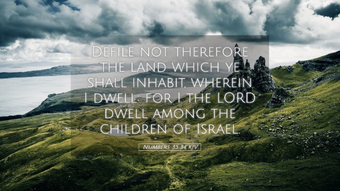 Picture 05 - Numbers 35:34 KJV Desktop Wallpaper - Defile not therefore the land which ye shall - Desktop Bible Verse Wallpaper
