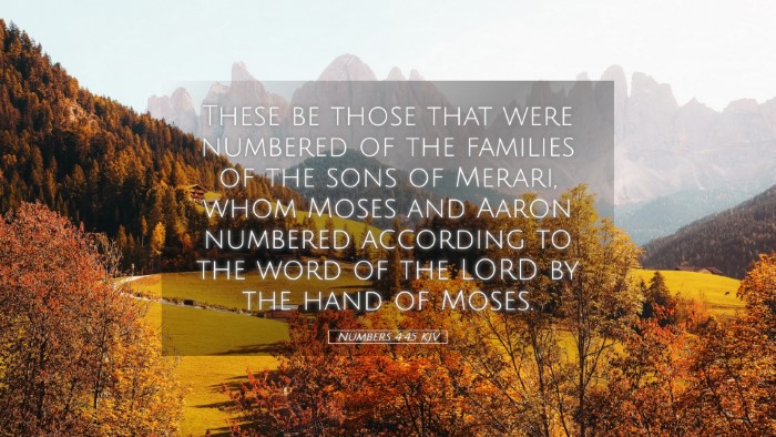 Picture 05 - Numbers 4:45 KJV Desktop Wallpaper - These be those that were numbered of the families - Desktop Bible Verse Wallpaper