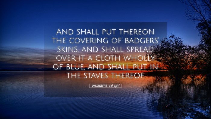 Picture 05 - Numbers 4:6 KJV Desktop Wallpaper - And shall put thereon the covering of badgers' - Desktop Bible Verse Wallpaper