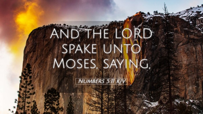 Picture 05 - Numbers 5:11 KJV Desktop Wallpaper - And the LORD spake unto Moses, - Desktop Bible Verse Wallpaper