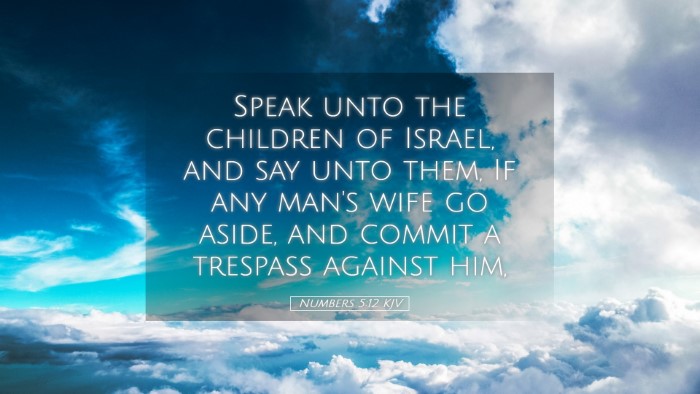 Picture 05 - Numbers 5:12 KJV Desktop Wallpaper - Speak unto the children of Israel, and say unto - Desktop Bible Verse Wallpaper