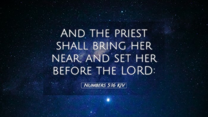 Picture 05 - Numbers 5:16 KJV Desktop Wallpaper - And the priest shall bring her near, and set her - Desktop Bible Verse Wallpaper