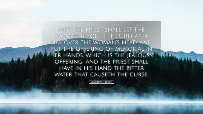 Picture 05 - Numbers 5:18 KJV Desktop Wallpaper - And the priest shall set the woman before the - Desktop Bible Verse Wallpaper