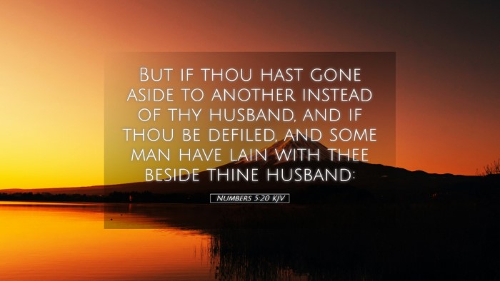 Picture 05 - Numbers 5:20 KJV Desktop Wallpaper - But if thou hast gone aside to another instead of - Desktop Bible Verse Wallpaper