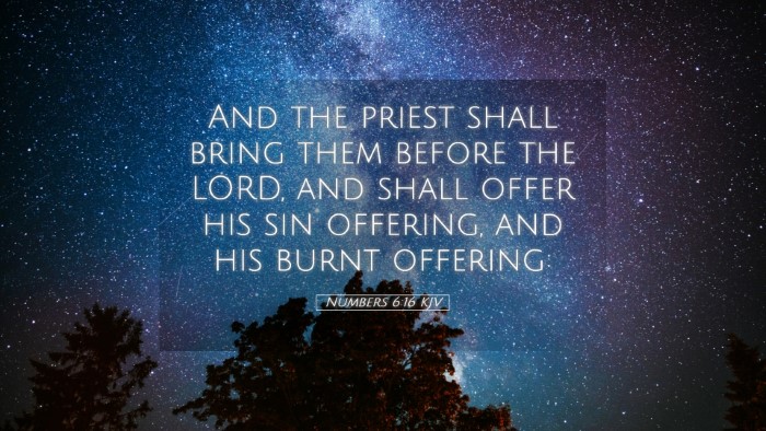 Picture 05 - Numbers 6:16 KJV Desktop Wallpaper - And the priest shall bring them before the LORD, - Desktop Bible Verse Wallpaper