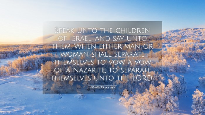Picture 05 - Numbers 6:2 KJV Desktop Wallpaper - Speak unto the children of Israel, and say unto - Desktop Bible Verse Wallpaper