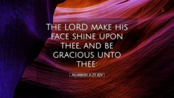 Picture 05 - Numbers 6:25 KJV Desktop Wallpaper - The LORD make his face shine upon thee, and be - Desktop Bible Verse Wallpaper