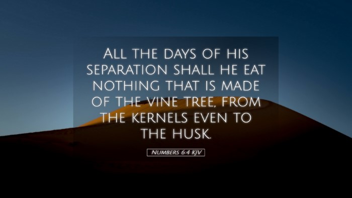Picture 05 - Numbers 6:4 KJV Desktop Wallpaper - All the days of his separation shall he eat - Desktop Bible Verse Wallpaper