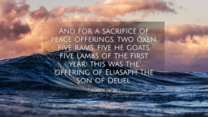 Picture 05 - Numbers 7:47 KJV Desktop Wallpaper - And for a sacrifice of peace offerings, two oxen, - Desktop Bible Verse Wallpaper