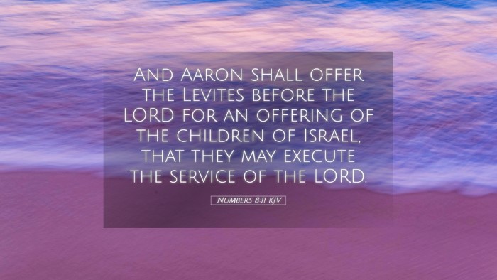 Picture 05 - Numbers 8:11 KJV Desktop Wallpaper - And Aaron shall offer the Levites before the LORD - Desktop Bible Verse Wallpaper