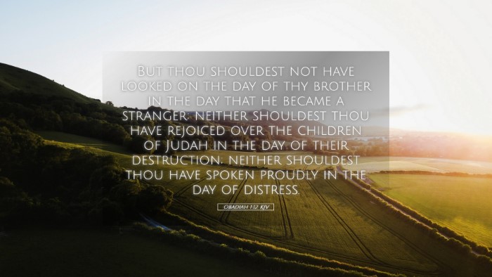 Picture 05 - Obadiah 1:12 KJV Desktop Wallpaper - But thou shouldest not have looked on the day of - Desktop Bible Verse Wallpaper