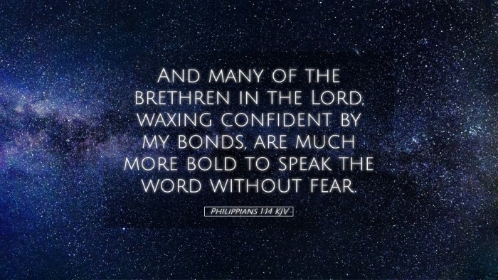 Picture 05 - Philippians 1:14 KJV Desktop Wallpaper - And many of the brethren in the Lord, waxing - Desktop Bible Verse Wallpaper