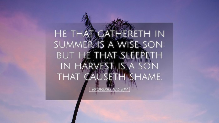 Picture 05 - Proverbs 10:5 KJV Desktop Wallpaper - He that gathereth in summer is a wise son: but he - Desktop Bible Verse Wallpaper