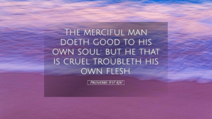 Picture 05 - Proverbs 11:17 KJV Desktop Wallpaper - The merciful man doeth good to his own soul: but - Desktop Bible Verse Wallpaper