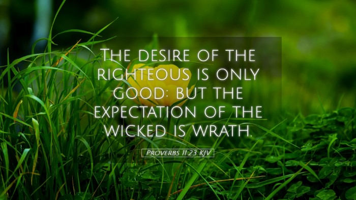 Picture 05 - Proverbs 11:23 KJV Desktop Wallpaper - The desire of the righteous is only good: but the - Desktop Bible Verse Wallpaper