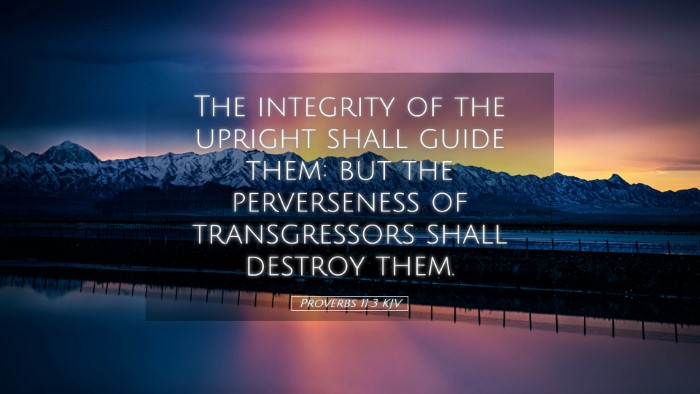 Picture 05 - Proverbs 11:3 KJV Desktop Wallpaper - The integrity of the upright shall guide them: - Desktop Bible Verse Wallpaper