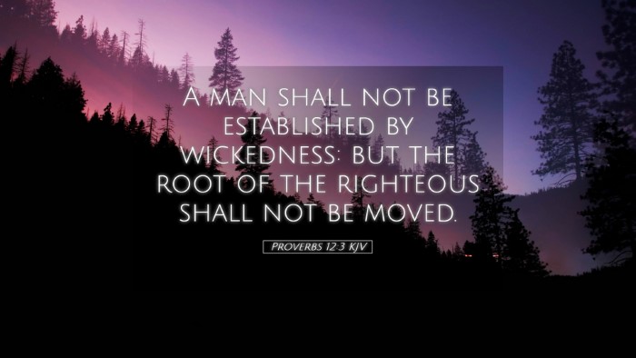 Picture 05 - Proverbs 12:3 KJV Desktop Wallpaper - A man shall not be established by wickedness: but - Desktop Bible Verse Wallpaper