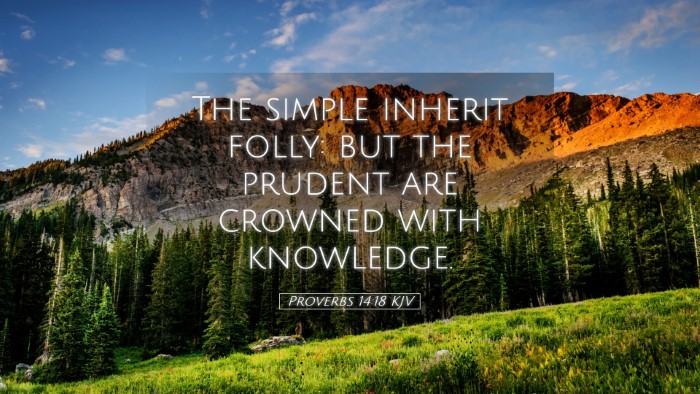 Picture 05 - Proverbs 14:18 KJV Desktop Wallpaper - The simple inherit folly: but the prudent are - Desktop Bible Verse Wallpaper
