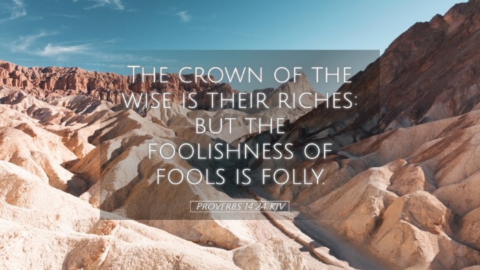 Picture 05 - Proverbs 14:24 KJV Desktop Wallpaper - The crown of the wise is their riches: but the - Desktop Bible Verse Wallpaper