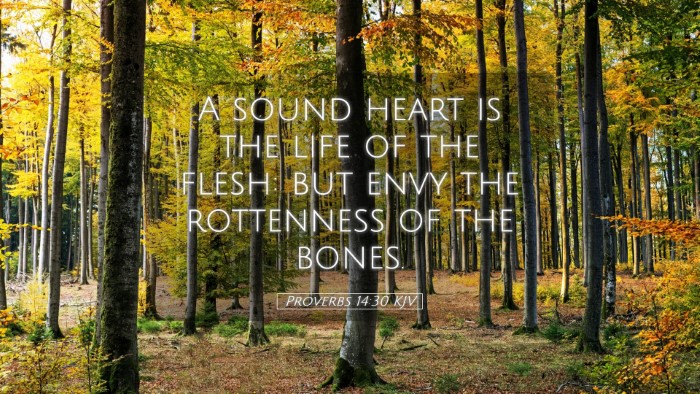 Picture 05 - Proverbs 14:30 KJV Desktop Wallpaper - A sound heart is the life of the flesh: but envy - Desktop Bible Verse Wallpaper