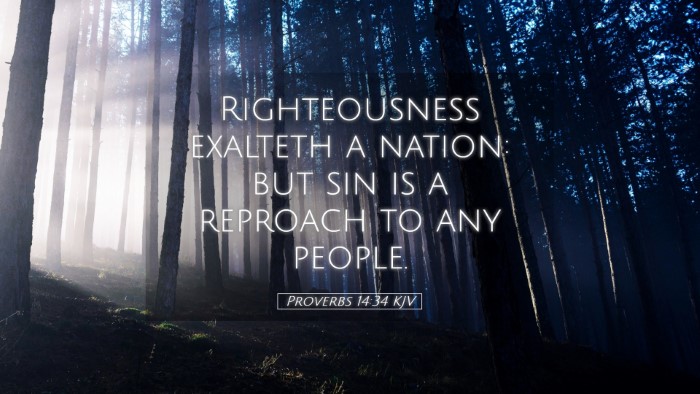 Picture 05 - Proverbs 14:34 KJV Desktop Wallpaper - Righteousness exalteth a nation: but sin is a - Desktop Bible Verse Wallpaper