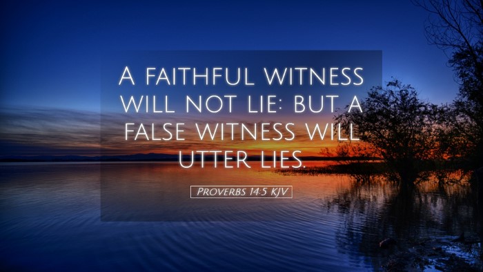 Picture 05 - Proverbs 14:5 KJV Desktop Wallpaper - A faithful witness will not lie: but a false - Desktop Bible Verse Wallpaper