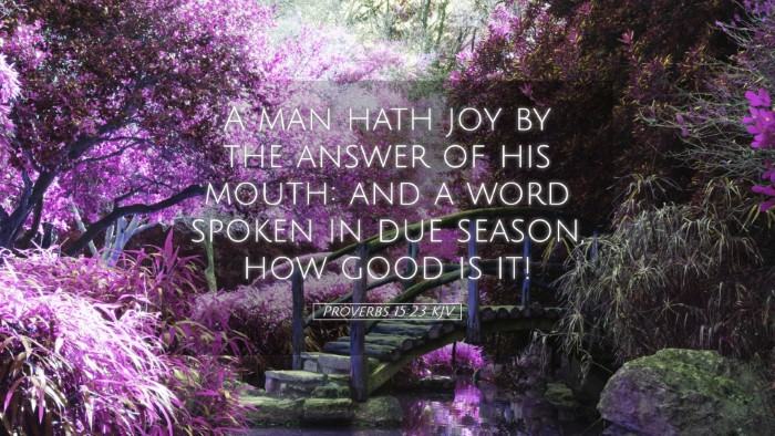 Picture 05 - Proverbs 15:23 KJV Desktop Wallpaper - A man hath joy by the answer of his mouth: and a - Desktop Bible Verse Wallpaper