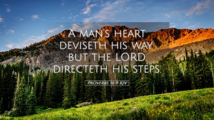 Picture 05 - Proverbs 16:9 KJV Desktop Wallpaper - A man's heart deviseth his way: but the LORD - Desktop Bible Verse Wallpaper