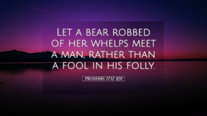 Picture 05 - Proverbs 17:12 KJV Desktop Wallpaper - Let a bear robbed of her whelps meet a man, - Desktop Bible Verse Wallpaper