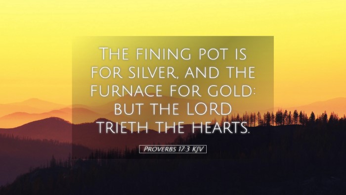 Picture 05 - Proverbs 17:3 KJV Desktop Wallpaper - The fining pot is for silver, and the furnace for - Desktop Bible Verse Wallpaper